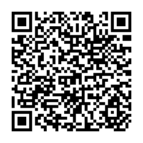 QR Code for Innovation and the Development Agenda
