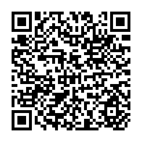 QR Code for Report on the Meeting of Experts on the Mechanization of Rice Production and Processing