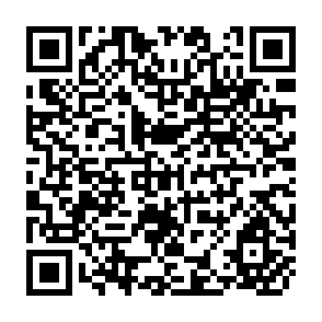 QR Code for Report on the Meeting of Experts on the Mechanization of Rice Production and Processing