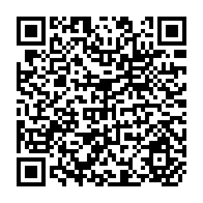 QR Code for Patents