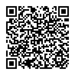 QR Code for A Text Book of Plant Ecology
