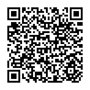 QR Code for Innovation and the Development Agenda