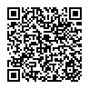 QR Code for Universities in Transition