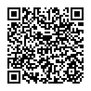 QR Code for Forests and Climate Change after Cancun