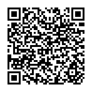 QR Code for The Postgraduate Research Handbook