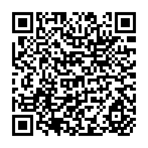 QR Code for Changing Minds