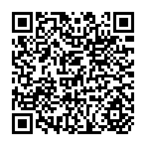 QR Code for Paid Educational Leavel ( Report VI (2))