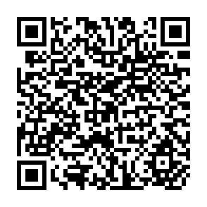 QR Code for World Development Report 2011