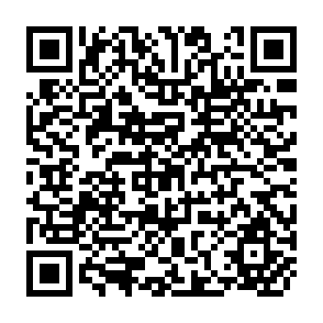 QR Code for First Annual Lecture on Feeding the Nation: Technology Development And Policy Interventions