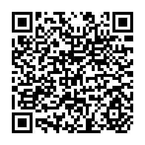 QR Code for Data Profile on Macroeconomic and HRD Indicators in the SAARC Region 1990-2008