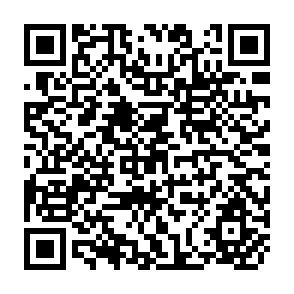 QR Code for Dilemma of State Tube Wells