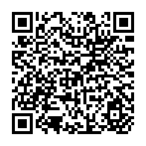 QR Code for Reconsidering Food Security Policy Under Trade Liberalization
