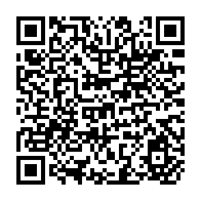 QR Code for Present Situation and Future Perspectives of Biofertilizer for Environmentally- Friendly Agriculture
