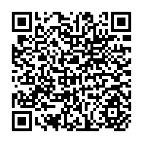 QR Code for Economic Democracy through Pro-Poor growth