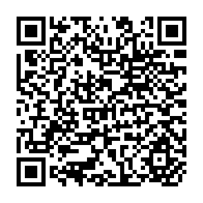 QR Code for Political Economy of Poverty Eradicationin India and Essays on Fiscal Reform