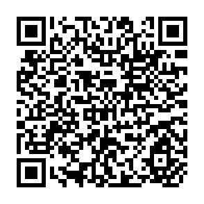 QR Code for Assessment of the Requirements of High Yieldings Seeds and the Development of the Seed Industry