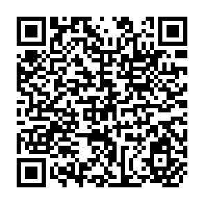 QR Code for Assessment of the Requirements of High Yieldings Seeds and the Development of the Seed Industry