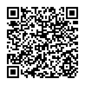 QR Code for Integrated Plant Nutrient Supply and Management Strategies to Enhance Nutrient Use Efficiency and Crop Productivity in Korea