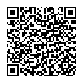 QR Code for Trade in Services in South Asia