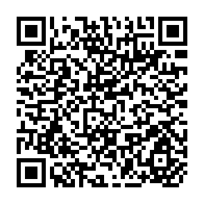 QR Code for Utilization Focused Evaluation- A Primer for Evaluators