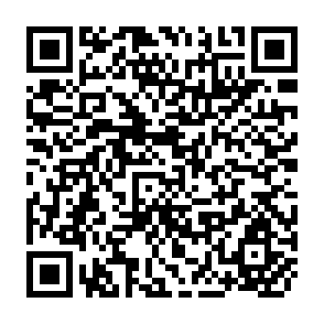 QR Code for Rural Development Report 2011