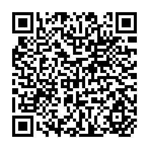 QR Code for Renewable Energy- Physics, Engineering, Environmental Infacts, Economics and Planning(4th Edition)