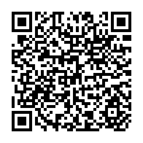 QR Code for Seeds of Change