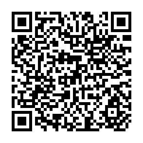QR Code for Seeds of Change