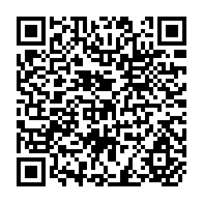 QR Code for Economics
