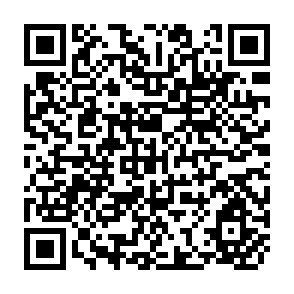 QR Code for Economic Implications of the "Green Re-volution" and the Strategy of Agricultural Development in West Pakistan