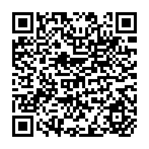 QR Code for Focus on Pepper(Piper nigrum L.)