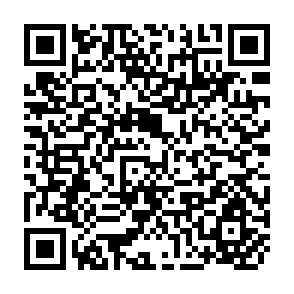 QR Code for Report to the Government of the Philippines on A National Food and Nutrition Plan