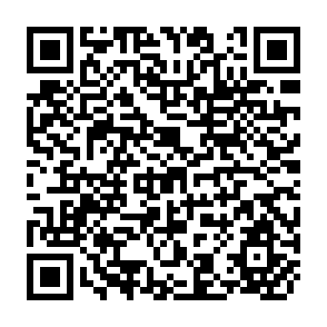 QR Code for Fiscal Policy and The Employment Problem in Less Developed Countries