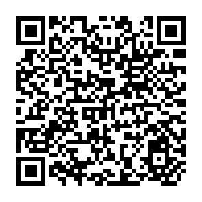 QR Code for A Handbook on the Wto Trips Agreement