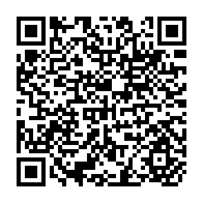 QR Code for A mathematical background for economist and social scientists