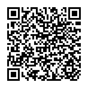 QR Code for Support Materials for the Ecafe/Unicef Seminar on Developmental Aspects of Social Work Traning Curricula