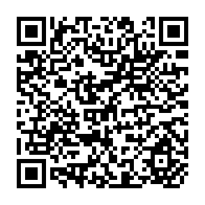 QR Code for Principles, functioning and management of ecosystems cultivated under Direct seeding Mulch-based Cropping system (DMC)