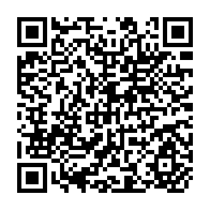 QR Code for Handbook for effective participation in the POPs Review Committee under the Stockholm Convention 2009