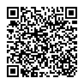 QR Code for Cross-Cultural Approaches