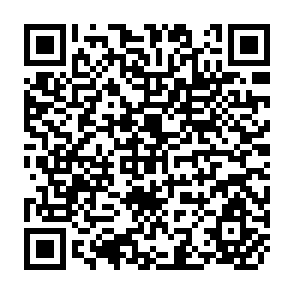 QR Code for Ethnic Groups of Insular Southeast Asia