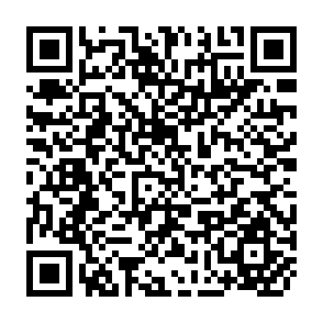 QR Code for Survey of World Cultures