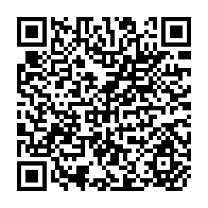 QR Code for Circum-Mediterranean Peasantry: Introductory Bibliographies