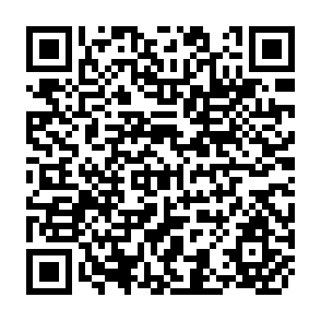 QR Code for Yearbook of Forest Products Annuaire Des Produits Forestiers Anuario De Productos Forestales