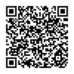 QR Code for Radical Polotical Economy