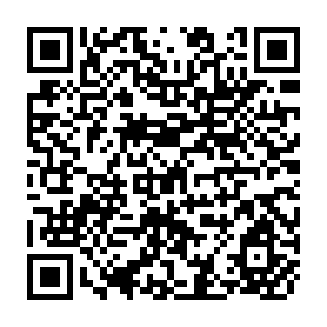 QR Code for FAO Commodity Review and Outlook