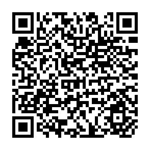 QR Code for Annex to the Report of the FAO/ILO/SIDA Consultation on Employment in Forestry