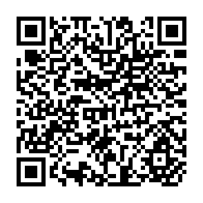 QR Code for Business Economics