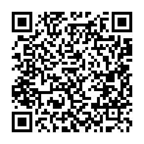 QR Code for The Socialist Register 1971
