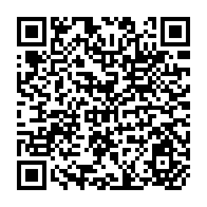 QR Code for International Development Cooperation