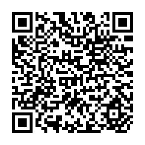 QR Code for The Middle Income and Country- Size Biases in Aid Allocations